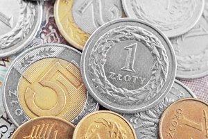 Trwa internetowa zbiórka Wenty Dobroczynnej