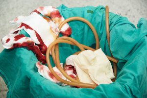 Bomba epidemiologiczna w Olsztynie? Sanepid ostrzega przed konsekwencjami