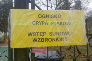 Walka z grypą ptaków kosztowała już 40 mln złotych