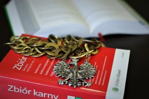 Zakończył się proces ws. nastolatka oskarżonego o zabójstwo