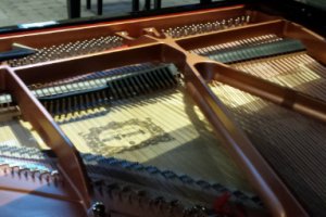 Pasja według Izy Garglinowicz