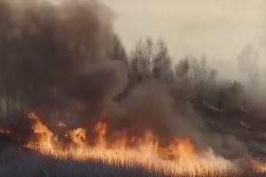 Ministerstwo Klimatu o pożarach wokół Czarnobyla: Nie ma zagrożenia dla zdrowia Polaków