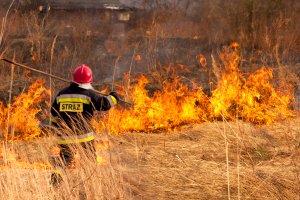 Pożary traw i śmiertelne wypadki. Strażacy z regionu apelują: zostańmy w domach