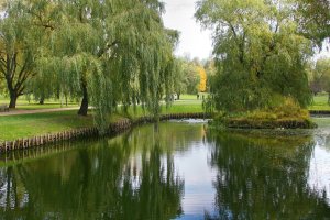 Olsztyn stawia na retencję. Deszczówka ma nie zalewać już miasta