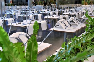 Elbląg pomaga pubom i restauracjom. Radni obniżyli opłaty za sprzedaż alkoholu