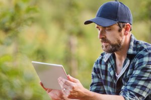 Liczą szkody w uprawach i czekają pomoc klęskową