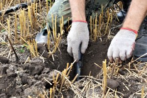 Znaleźli skarb datowany na pierwsze wieki naszej ery