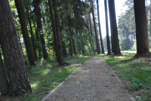 Połączył trzy miejscowości turystyczne. W powiecie ełckim powstał nowy szlak