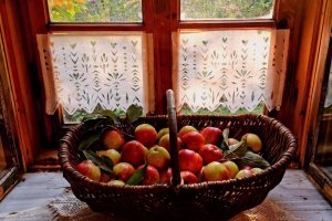 Anioły na Mazurach - reportaż Alicji Kulik