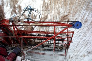 Zimowe żniwa na Zalewie Wiślanym