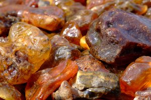 Poszukiwacze bursztynu nielegalnie wchodzą na plac budowy. Na przekopie Mierzei Wiślanej wzmocniono ochronę