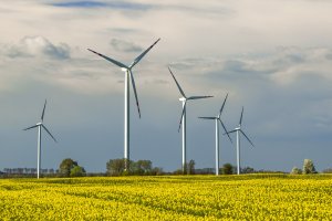 Nowa farma wiatrowa w regionie. Gdzie powstanie?
