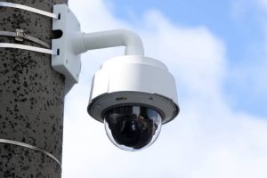 Zniszczyły nasadzenia. Nastolatki namierzone dzięki monitoringowi