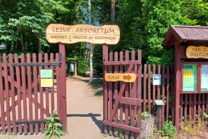 Lasy, Jeziora, Rzeki - Leśne Arboretum