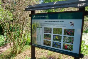 Arboretum w Kudypach szykuje się do nowego sezonu
