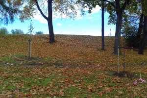 Dawny ełcki cmentarz zostanie oznaczony. Zadania podjęła się fundacja