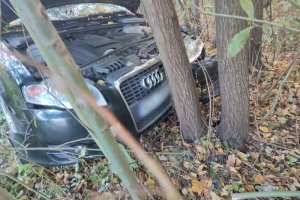 Kolizja na DK51. Kierująca audi uderzyła w drzewo