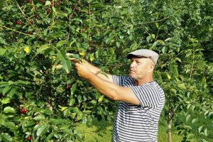 Inny Świat - Anna Minkiewicz-Zaremba