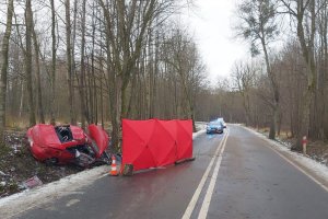 Tragiczny wypadek pod Elblągiem. 17 i 22-latek zginęli na miejscu