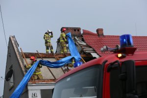 Połamane drzewa, uszkodzone dachy. Braniewo sprząta po przejściu silnego wiatru