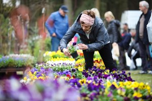 Pamiętajcie o ogrodach – XVI Wiosenne Targi Ogrodnicze w Olsztynie już w ten weekend