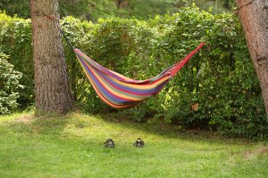 Sad, kwiaty i hamaki. W Olecku powstaje ogród społeczny