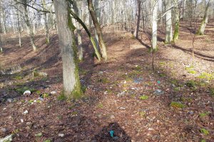 Po kilkudziesięciu latach z lasu zniknie składowisko odpadów