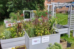 Bliższe Spotkania - 09.01.2023