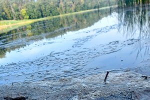 Sinice w jeziorach Niegocin i Mikołajskim. Sanepid wprowadza zakaz kąpieli