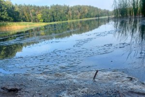 Upalna pogoda sprzyja rozwojowi niebezpiecznych dla zdrowia sinic