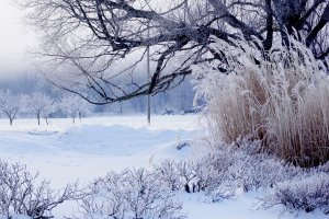 W środę początek astronomicznej zimy i najkrótszy dzień roku