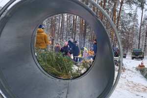 Od poniedziałku rusza sprzedaż choinek w Nadleśnictwie Elbląg