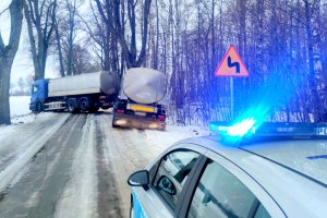 Kontrole ciężarówek w całym kraju. Branża transportowa krytykuje decyzję