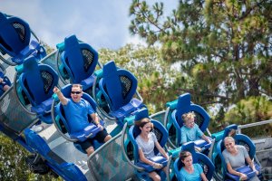 Siedlisko żółwia nie jest zagrożone. Coraz bliżej budowy parku rozrywki