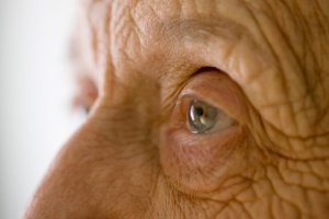 Elbląg szkoli seniorów w walce z naciągaczami i oszustami