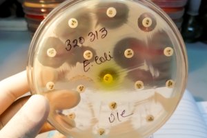 Woda do picia tylko po przegotowaniu. Sanepid ostrzega mieszkańców jednej z gmin