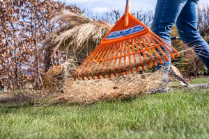Nadchodzi wiosna. Czego się spodziewać w najbliższych dniach?