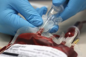 Zbiórka krwi w Olecku. Jakie warunki trzeba spełnić?