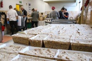 Przygotowania do wielkanocnego śniadania dla samotnych. Pomóc może każdy