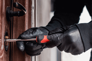 Policja ostrzega działkowców: jesienią i zimą rośnie liczba włamań do altanek