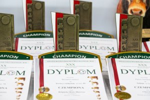 Owczarze spod Olsztyna zasypani nagrodami na wystawie zwierząt w Poznaniu