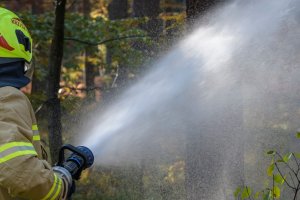 Podczas gaszenia pożaru poszycia lasu strażacy znaleźli ciało mężczyzny