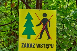 Zakaz wstępu do lasów jednego z nadleśnictw. 