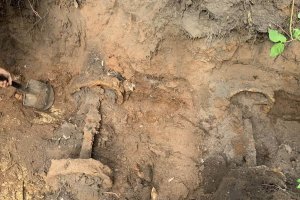 Czy uda się znaleźć Bursztynową Komnatę? Ruszyły prace ziemne przy torowisku