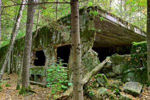 Prokuratura umorzyła śledztwo ws. szczątków odnalezionych w Wilczym Szańcu