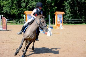 W Janiszach odbyły się największe w regionie zawody jeździeckie