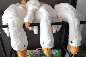 Bliższe Spotkania - 09.08.2023