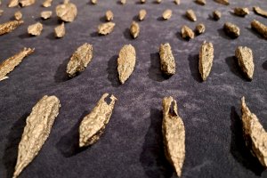 Zaprezentowano cenne artefakty. 