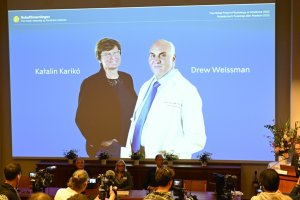 Nagroda Nobla z medycyny za szczepionki na COVID-19