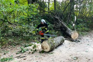 Silny wiatr. Strażacy interweniowali 60 razy